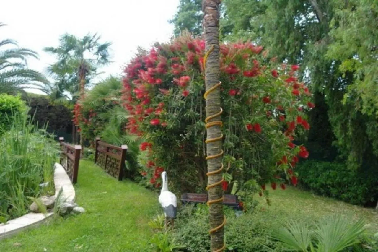 Appt 46 Guests Pool Hamman Possible Sauna Vallauris 0*,